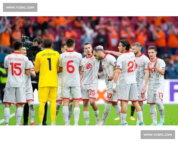 激情绿茵盛宴全面解读欧洲杯足球赛百年荣耀与巅峰对决传奇篇章 - 副本