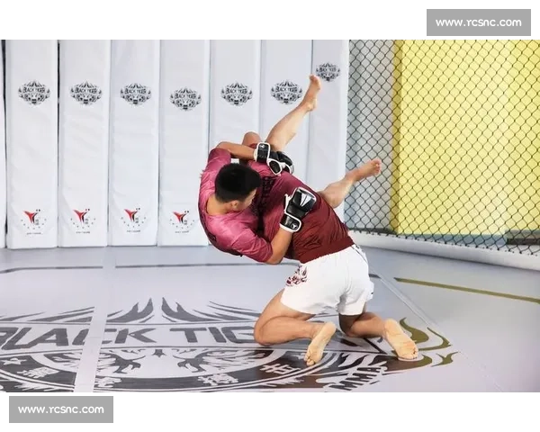 综合格斗发展趋势与实战技巧全面解析指南从入门到职业赛场策略 - 副本 (3)