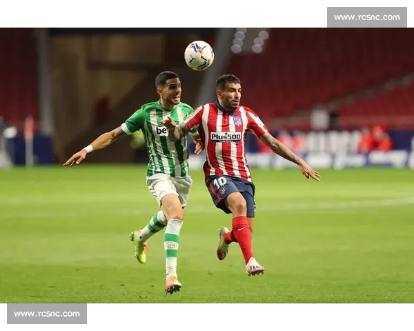 足球比赛免费版全方位赛事解析与精彩看点深度体验指南推荐攻略 - 副本 (9) - 副本